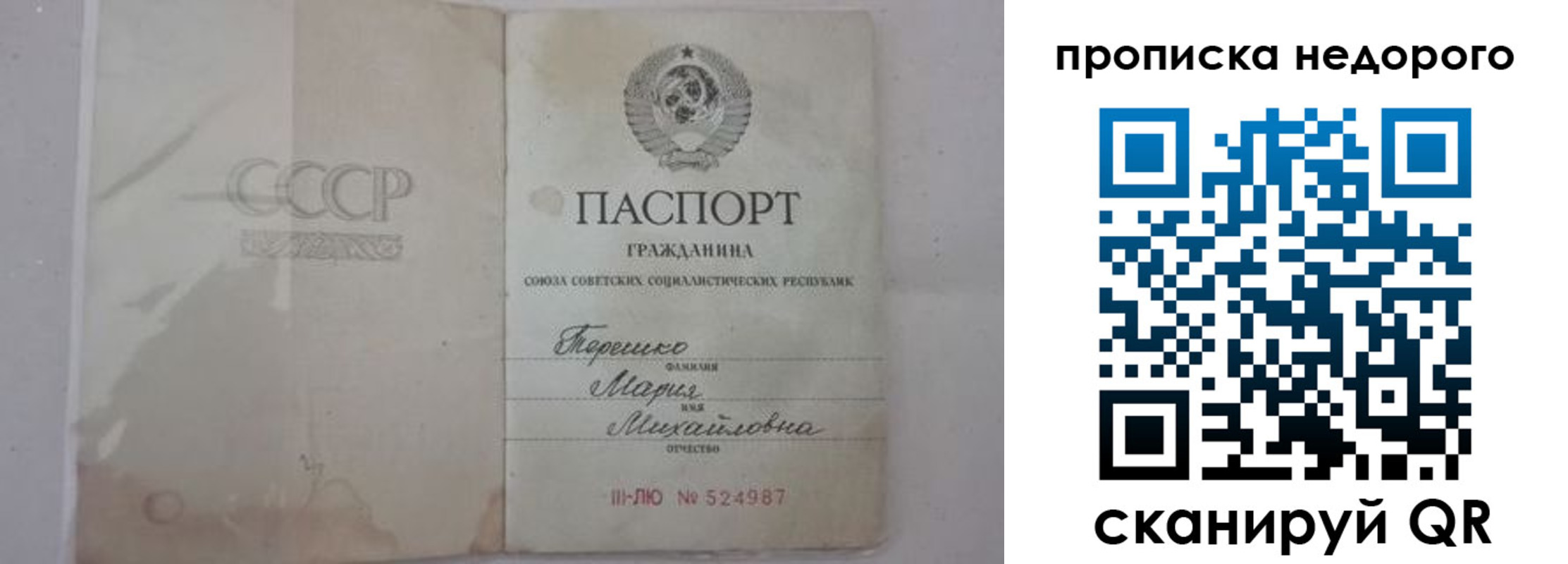 где прописаться в Покрове